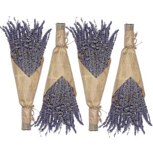 Cedar Space Lavender Dried Flowers 4 Bunches Dried Lavender Ideal Home Fragrance Products for Home Decorations, Wedding, Party, Photography & Flower Arrangements, Total Length 16 Inches