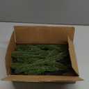 Hananona 50 Pcs Artificial Pine Branches Green Plants Pine Needles DIY Accessories for Garland Wreath Christmas and Home Garden Decor (50, Green)