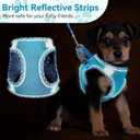 Black Leash Set - No Pull Adjustable Reflective Breathable Mesh Step-in Harness for Extra Small/Small Medium Dogs & Cats - Easy Walk, Outdoor Hiking & Training