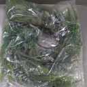 Giegxin 24 Pcs 18 Inch Large Christmas Snowy Artificial Cedar Picks with Pine Cones Frosted Pine Branches Faux Christmas Tree Picks and Sprays Fake Greenery Stems for Wreath Floral Crafts Home Decor