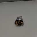 ACDelco Gold D1415B (12322801) Ignition and Start Switch