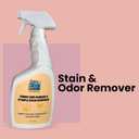 Stain & Odor Remover  Enzyme-Powered Cleaner for Pet Accidents on Carpet, Furniture & Floors  32 oz Spray  Safe for Dogs, Cats & Homes