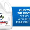Roundup Weed & Grass Killer Refill, Use in and Around Flower Beds, Trees, Driveways, Walkways & More, 1.25 gal. (Pack of 4)