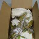 Mkono Peonies Artificial Flowers, 2 Packs 13 Stems Faux Peony Flowers Real Touch Fake Silk Bouquet for Arrangements Dining Table Centerpieces for Kitchen Bridal Wedding Party (2, White)