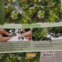 Artificial Plant Wall Panels: 70"120" UV-Anti Faux Grass Wall Backdrop Boxwood Ivy Fence Privacy Screen Fake Greenery Leaf Hedge for Outdoor,Indoor,Garden,Backyard and Home Decor