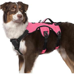 rabbitgoo Escape Proof Dog Harness, Soft Padded Full Body Pet Harness, Reflective Adjustable No Pull Vest with Lift Handle and Leash Clip for Large Dogs Walking Hiking Training, M, Pink (Medium (Pack of 1))