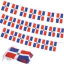 Dominican Republic Flag Banner, Small Mini Dominicana Flags Patriotic Decoration for Party, Classroom, Sports Events, 33 Feet 30 Flags