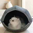 Donut Cat Tunnel Bed Peekaboo Cat Cave for Large Cats Up to 30 Lbs, Kitty Interactive Playing Tent House for Multiple Cats,Detachable,Scratch Resistant (2 in 1 Black, Medium  20 Inch Diameter)