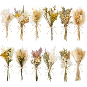 12/24 PCS Charming Dried Flowers Bouquet for Vase Various Dried Wildflowers with Stems Mini Handmade Wildflowers Natural Real Flowers Bulk Flowers Craft (Solid Color, 12 PCS)