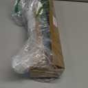 Palonu 12Pcs Christmas Norfolk Pine Branch, 18 Inches Lifelike Artificial Christmas Green Plants Branch Faux Greenery Stem for Vase DIY Crafts Xmas Garland Wreath Indoor Home Decor