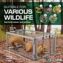 Humane Squirell Trap -2 Pack, Chipmunk and Rat Cages that Work for Home | Catch and Release | Reusable and Durable | No Kill Animal Trap | for Inside Home and Outdoor Use