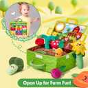 hahaland Baby Toys 6-12 Months - Fruits Vegetables Garden Plant Plush - 6 Month Old Toys Montessori Sensory Toy Carrot Flower with Rattles Mirror Squeaker Textures Crinkle Tissues, Baby Gifts 9 Month