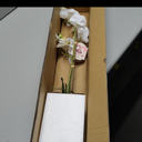 Dolly Parton White Artificial Orchid in Pink Ceramic Pot, 9.8x5.5x24 Inch