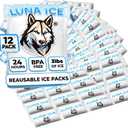 Dry Ice Packs for Shipping - Long Lasting ice Packs - 24+ Hour Freeze Power - BPA Free - 12 Pack Bulk 3 lb  Hielo Seco - Reusable Gel Bricks for Food (Medium)