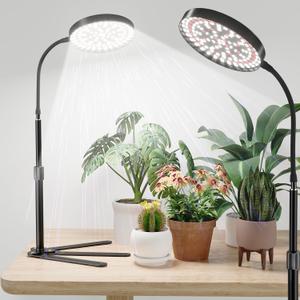 Super-Bright Grow Light 100W, 6000K 216LEDs White Full Spectrum Plant Growing Lamp for Home Office Indoor Plants, Adjustable Height & Auto Timer 4 8 12Hrs, 12V 3A High Power Output for Faster Growth