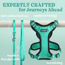 rabbitgoo Cat Harness and Leash for Walking, Escape Proof Soft Adjustable Vest Harnesses for Cats, Easy Control Breathable Reflective Strips Jacket, Emerald, M