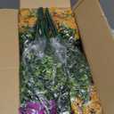 Waipfaru Artificial Flowers for Outdoors, 24 Bundles Faux Plants Outdoor, UV Resistant Artificial Plants Outdoor, Silk Fake Artificial Flowers for Outside Home Decor Planter Porch Patio Decoration (Red&yellow&purple&purple-red)