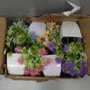 Mini Artificial Potted Flower Set (Multi-Pack)