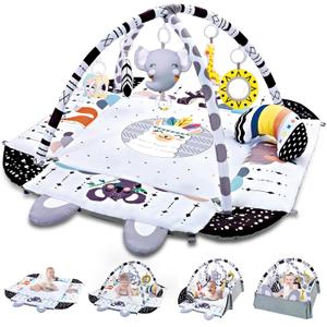 Baby Gym Play Mat, 8-in-1 Tummy Time Mat & Activity Gym, Washable Ball Pit, Infant Play Mat with Detachable Toys for Sensory Exploration and Motor Skill Development (Black White)