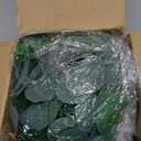 CQURE 36 Pack 252Ft Eucalyptus Garland,Artificial Eucalyptus Leaves Table Greenery Garland Wreath Vines for Wedding Party Table Fireplace Bedroom Wall Room Decor