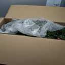 National Tree Company 6 ft Pre-lit Artificial Christmas Tree, North Valley Spruce, 300 Clear Lights, Hinged Branches, 800 Branch Tips, Includes Stand, Green