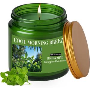 Eucalyptus & Mint Candles for Home Scented, 4oz Natural Soy Wax Jar Candle Gift for Men Women Stress Relief, Meditation, Yoga, Relaxing, 20H Long-Lasting Burns