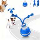 Interactive Dog Toys for Small Dogs  Peppy Pet Ball & Chase Buddy Dog Toy Active Rolling Puppy Toys to Keep Them Busy, Daily Training Interactive Puppy Toys (blue)