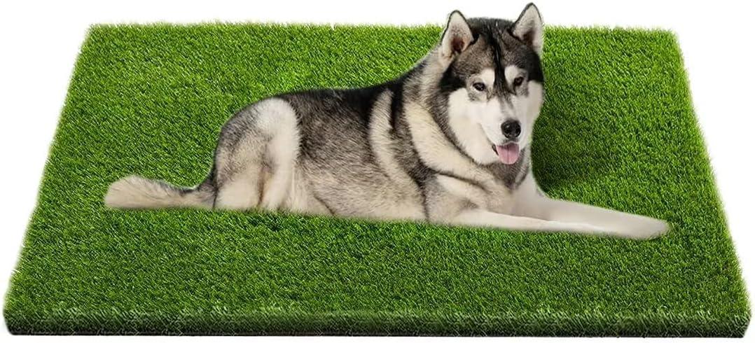Artificial Grass, Professional Dog Grass Mat, Potty Training Rug and Replacement Turf Outdoor Rug Patio Lawn Decoration, Easy to Clean with Drainage Holes(47.3x31.5 inches) (47.3"L x 31.5"W x 1.2"Th)