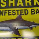 WERNNSAI Shark Birthday Party Decorations - 9 PCS Blue Shark Party Decoration Signs for Kids Boys Under The Sea Birthday Supplies Ocean Shark Signs Decor for Ocean Themed Baby Show Summer Party