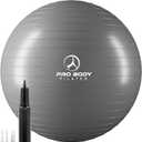 ProBody Pilates Exercise Ball - Multiple Sizes Gym Grade Balance Ball for Fitness, Yoga, Workout, Pregnancy & Physical Therapy (65 cm, Silver)