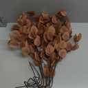 Sggvecsy 6 Pcs Fall Artificial Eucalyptus Stems Long Silver Dollar Leaves Fake Silk Eucalyptus Leaf Branches for Indoor Home Autumn Festival Thanksgiving Decor(Dark Brown)