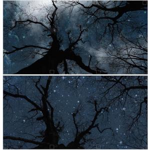 6 Pcs Fluorescent Light Covers for Ceiling Lights with 48 Magnets Decorative Magnetic Light Filters for Classroom Office Kitchen Decoration(Branch)