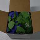 Greentime 2 Pack Artificial Flower Garland 6.5 FT Fake Rose Garland Vine for Wedding Arch Table Centerpiece Arrangement Room Baby Shower Decor (Royal Blue and Light Blue)