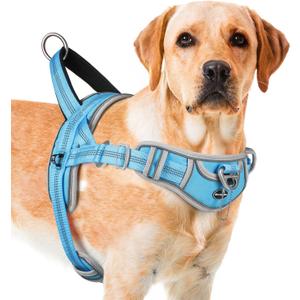 ADVENTUREMORE Dog Harness for Medium Dogs No Pull, Sport Dog Halter Harness Adjustable Reflective Dog Vest Escape Proof Dog Harness with Easy Control Front Clip Handle for Training Walking M Blue