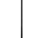 EXCMARK Shepherd Hook 48 inch 1/2 inch Thick Use at Weddings, Hanging Solar Lights, Lanterns, Bird Feeders, Metal Hanger Hook. (Black, 48 inch) U.S. Patent.