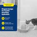 PetSafe Ceramic Pet Fountain for Cats and Small Dogs 60 Oz Water Capacity Whisper-Quiet Water Flow Great for Shy or Timid Pets Fresh, Filtered Water, Creekside