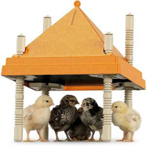 Chick Brooder Heating Plate with Anti-Roosting Cone Cover, 10" x 10" Brooder Heater for 10-12 Chicks, Adjustable Height & Angle, Safe Energy-Saving Radiant Heat, Prevents Roosting & Keeps Top Clean