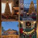 Outdoor String Lights, 55(50+5)FT 25 Bulbs IP65 Waterproof Patio Lights