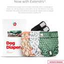 Pet Parents Washable Dog Diapers (3pack) + Extendrs of Durable Doggie Diapers, Premium Dog Diapers Female (Small, Daisy)