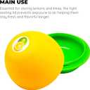 CULINARY ELEMENTS Citrus Pod