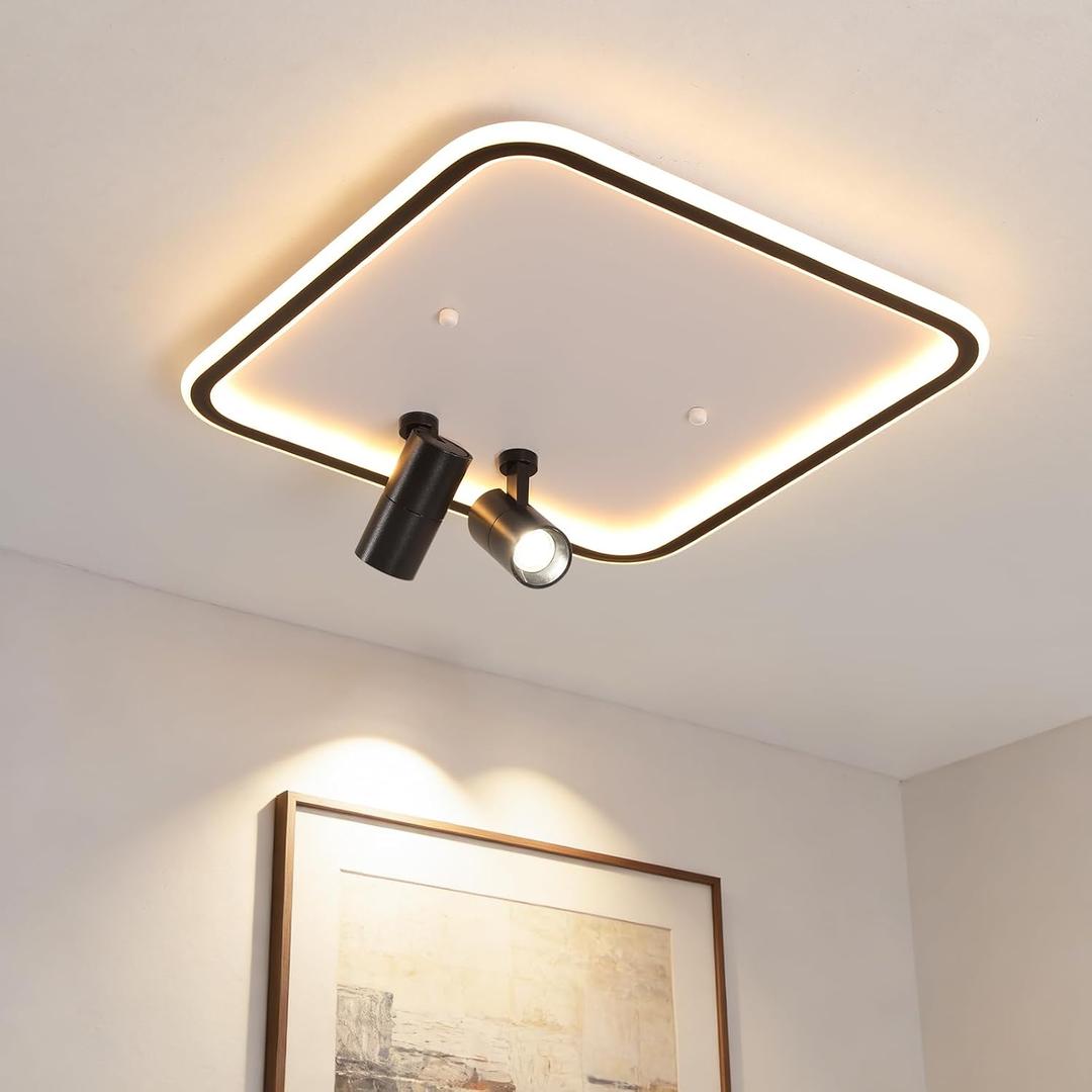 Shine LUEST Modern Square LED Flush Mount Ceiling Light Fixture, 2 Spotlights, Black Frame White Shade Minimalist Lighting for Living Room Bedroom Kitchen, 19.69 inches
