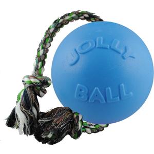 Jolly Pets Romp-n-Roll Rope and Ball Dog Toy, 8 Inches/Large, Blueberry, All Breed Sizes