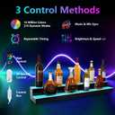 Led Lighted Liquor Bottle Display Shelf, 30 Inch 2 Tier Whiskey Rack, Support USB, Bar Stand with RF Remote & App Control, Illuminated Acrylic Lighting Shelves for Home Bar, Party