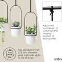 Umbra Triflora Hanging Planter for Window, Indoor Herb Garden, Set of 3, White/Black