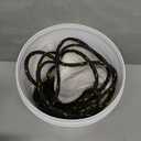 BasicGear Pancake Cast Net, 6ft Radius With 3/8 Inch Mesh, Pure Lead 1.60LB For Freshwater And Saltwater, Professional Grade And Upgraded Material, Throw Style For Bait Trap Fish