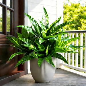 4Pcs Fake Ferns,Faux Outdoor Plants UV Resistant,3D Real Touch Fake Plants Total 60 Blades,Weatherproof Artificial Plants Outdoor Indoor for Garden Porch Home Office Living Room Decor (New Pteris Fern)