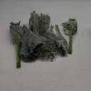 120 Pcs 4 Kinds Mixed Artificial Eucalyptus Leaves Stems Bulk Fake Silver Dollar Eucalyptus Bundle Faux Plants Greenery for DIY Bouquets Floral Arrangement Wedding Engagement Party Decor (Green)