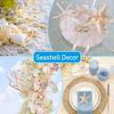 24PCS Sea Shells for Crafts Decoration - Real White Natural 2"-5" Scallop Shells and Starfish Coastal Christmas Craft Supplies, Beach Party, Painting, Easter DIY, Vase,Baking Shells, Birthday Gift