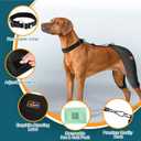 Dog Hip Brace with Hot/Cold Compress, Support for Hip Dysplasia, Arthritis, Back Leg limping, Prevents Hip Joint Issues, Reduce Hip Pain etc(Male Dog, XXL)