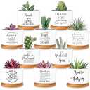 30 Pcs Succulent Plants Pots, Customer Service Week Appreciation Gift